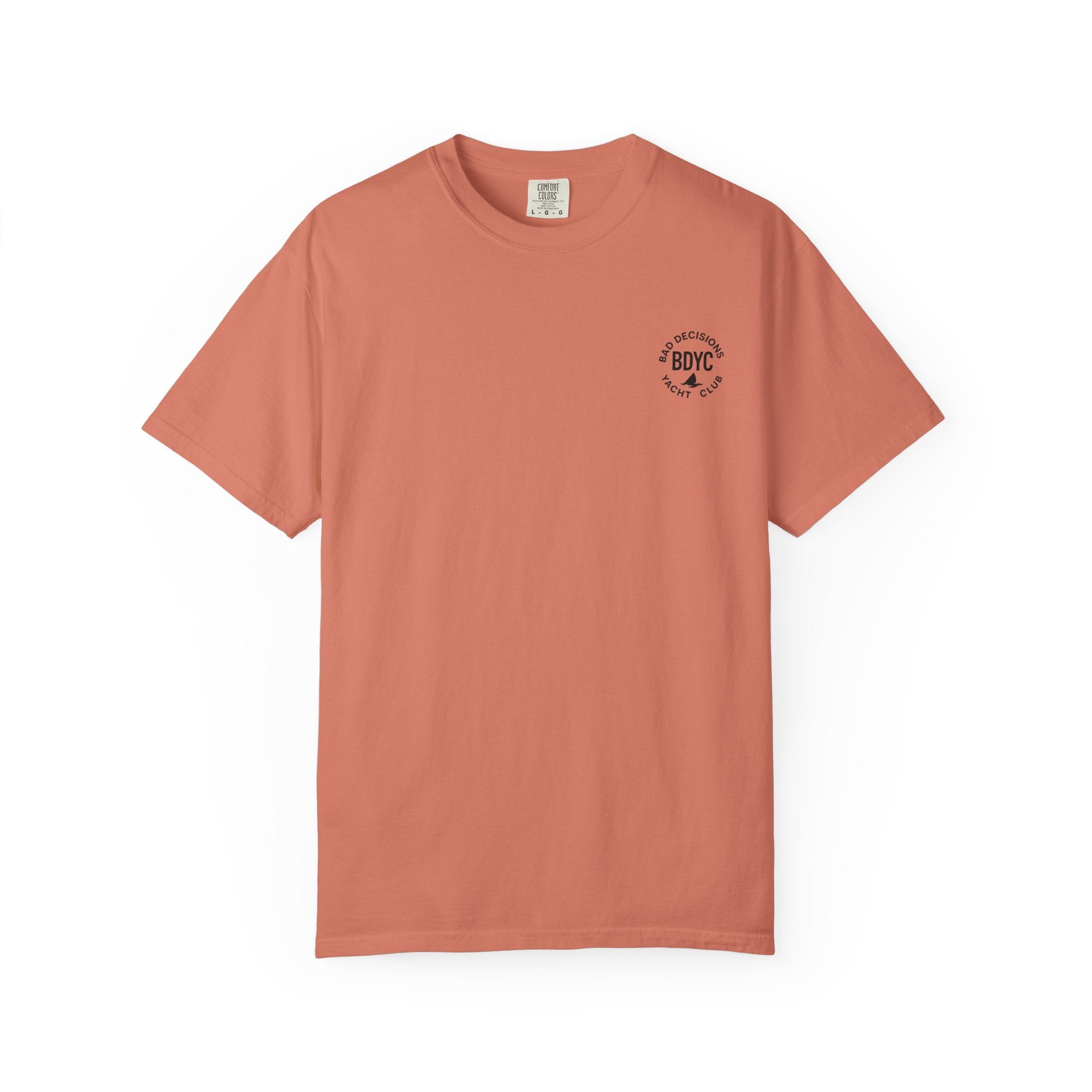 Pirate Beggar Graphic T-Shirt — "Can You Spare a Dollar?" Back Print