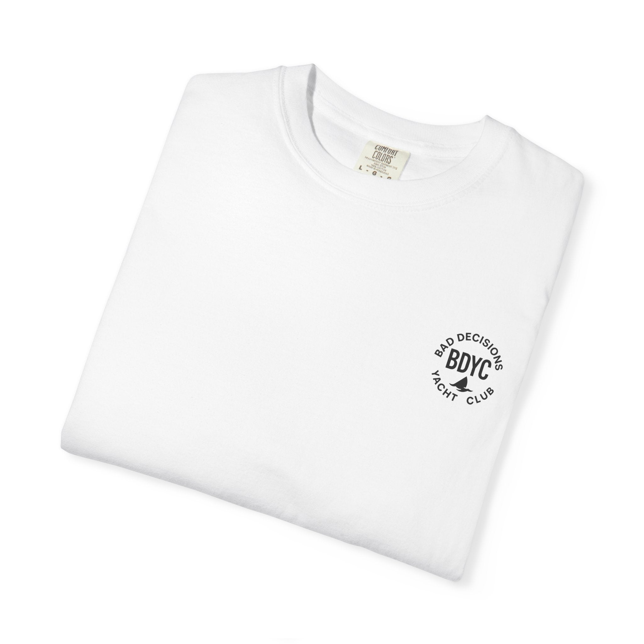 Pirate Beggar Graphic T-Shirt — "Can You Spare a Dollar?" Back Print