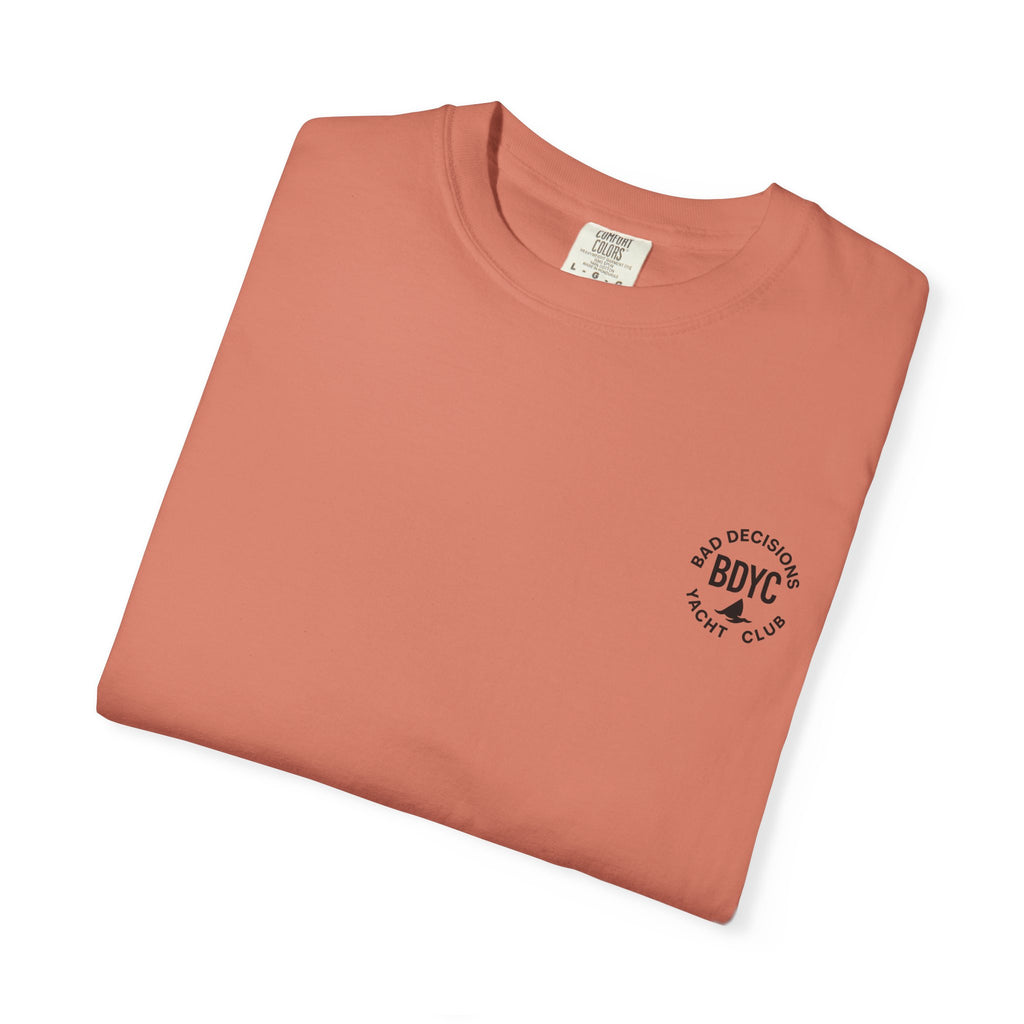 Pirate Beggar Graphic T-Shirt — "Can You Spare a Dollar?" Back Print